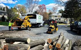 Reliable Bakerstown, PA Tree Removal and Landscaping Services Solutions